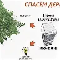 Тонна макулатуры спасает деревьев. Сбор макулатуры. 1 тонна макулатуры спасает. 1 тонна макулатуры экономит. экономим бумагу спасаем деревья.