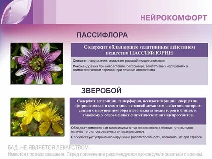 Пассифлора инструкция