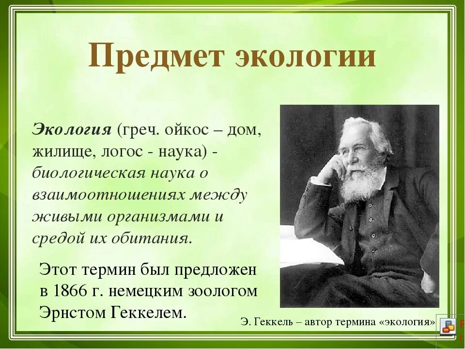 Термин экология в 1866 году. Э Геккель экология. Эрнст Геккель экология. 1861 Геккель. Геккель вклад в экологию.