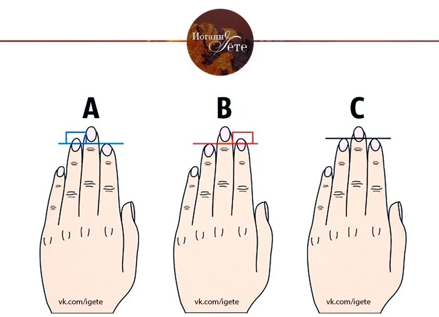 Длина пальцев женщин. Длина пальцев рук. Характер по пальцам рук. Характер человека по длине пальцев. Пальцы на руках длина значение.