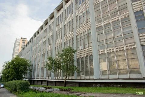 Дмитровское 71
