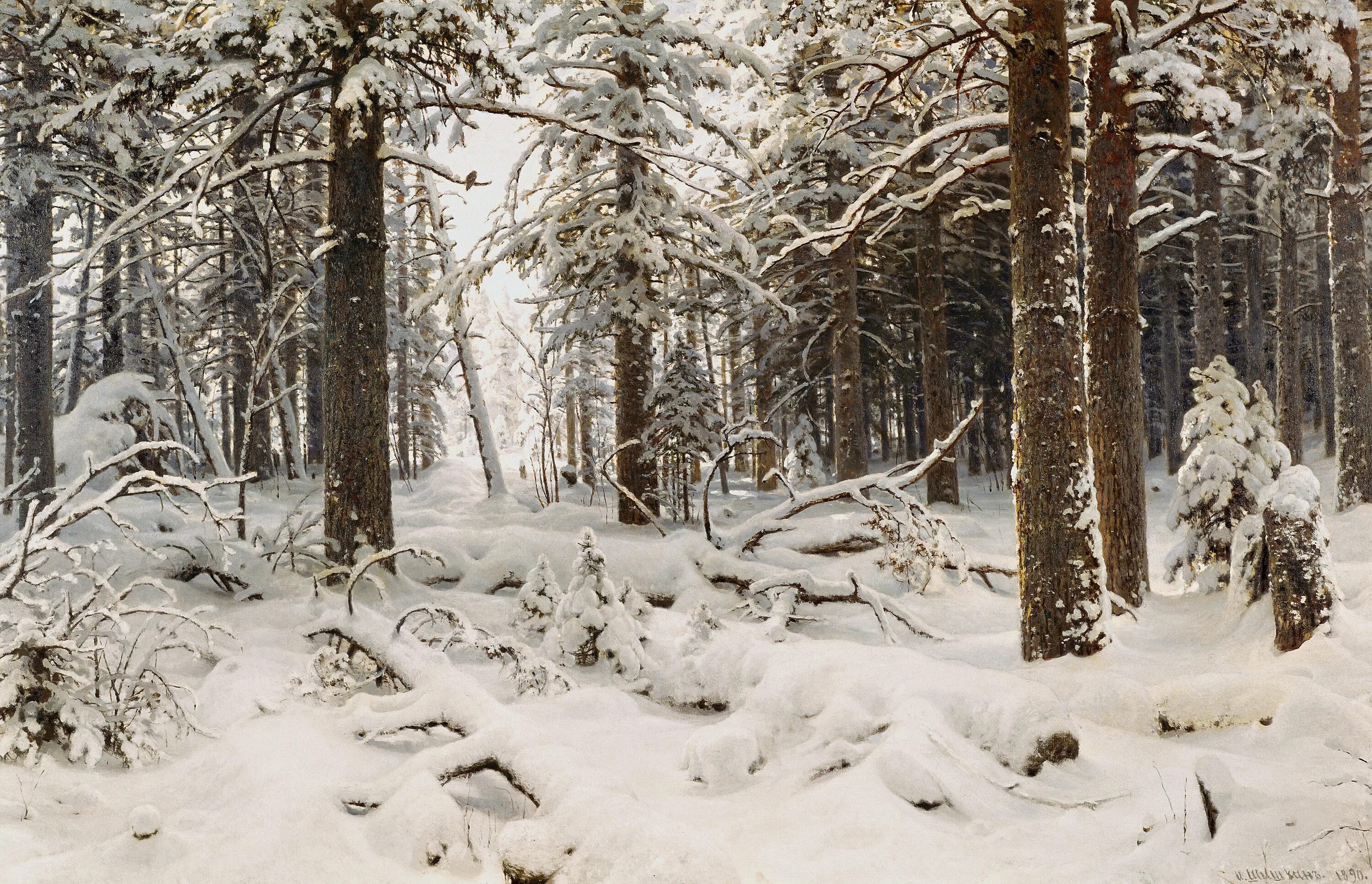 Изображен зимний лес. Изображен зимний лес