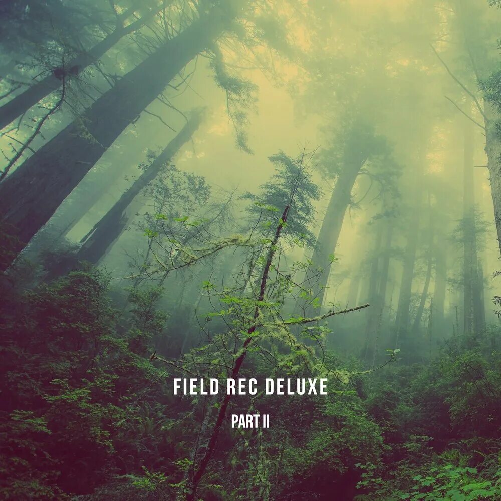 Sounds of pleasure. Ambient. Sounds of pleasure. Sounds of pleasure. Sounds of pleasure.