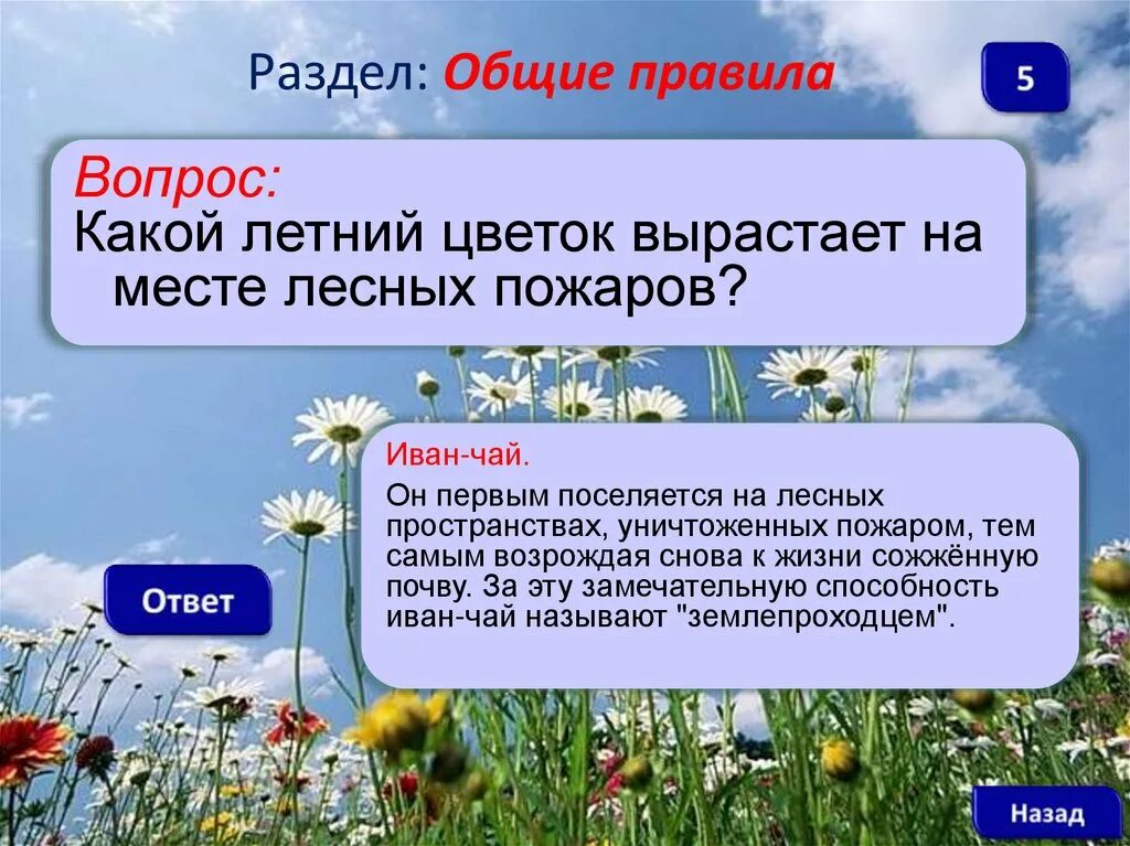 Какие у лета недостатки