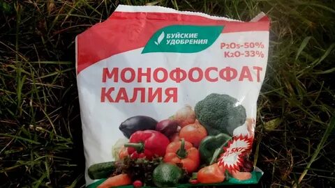 Как развести монофосфат калия для рассады петуний