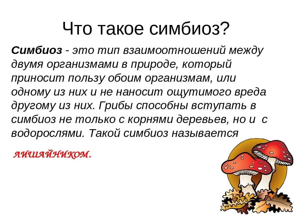 Симбиоз. Понятие симбиоз. Что такое симбиоз в биологии 5 класс. Симбиоз это в биологии 5 класс определение.