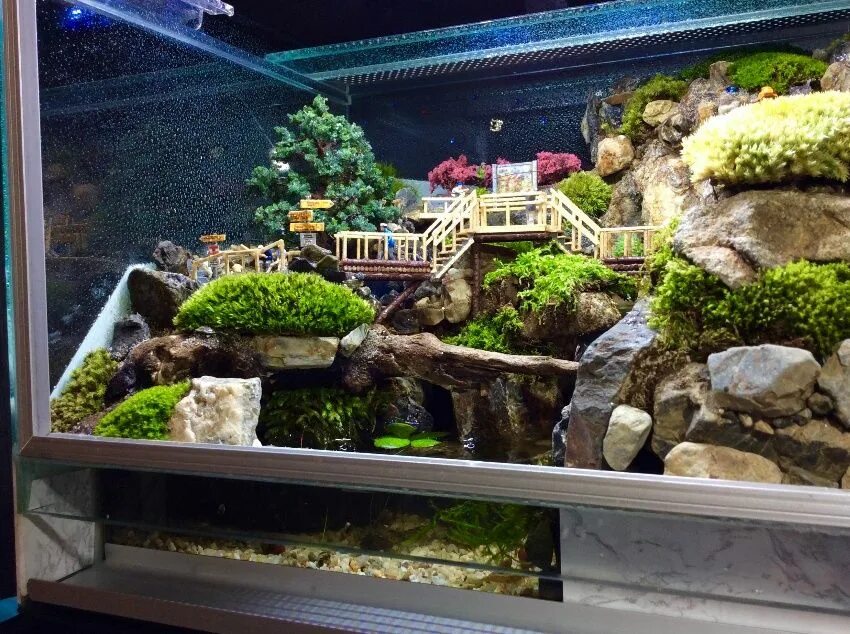 Декорации для террариума. Декорация для аквариума aqua della. Дракон в террариуме. Грот "скала с мхом" 142*60*112мм. Грот "скала с мхом" 142*60*112мм.