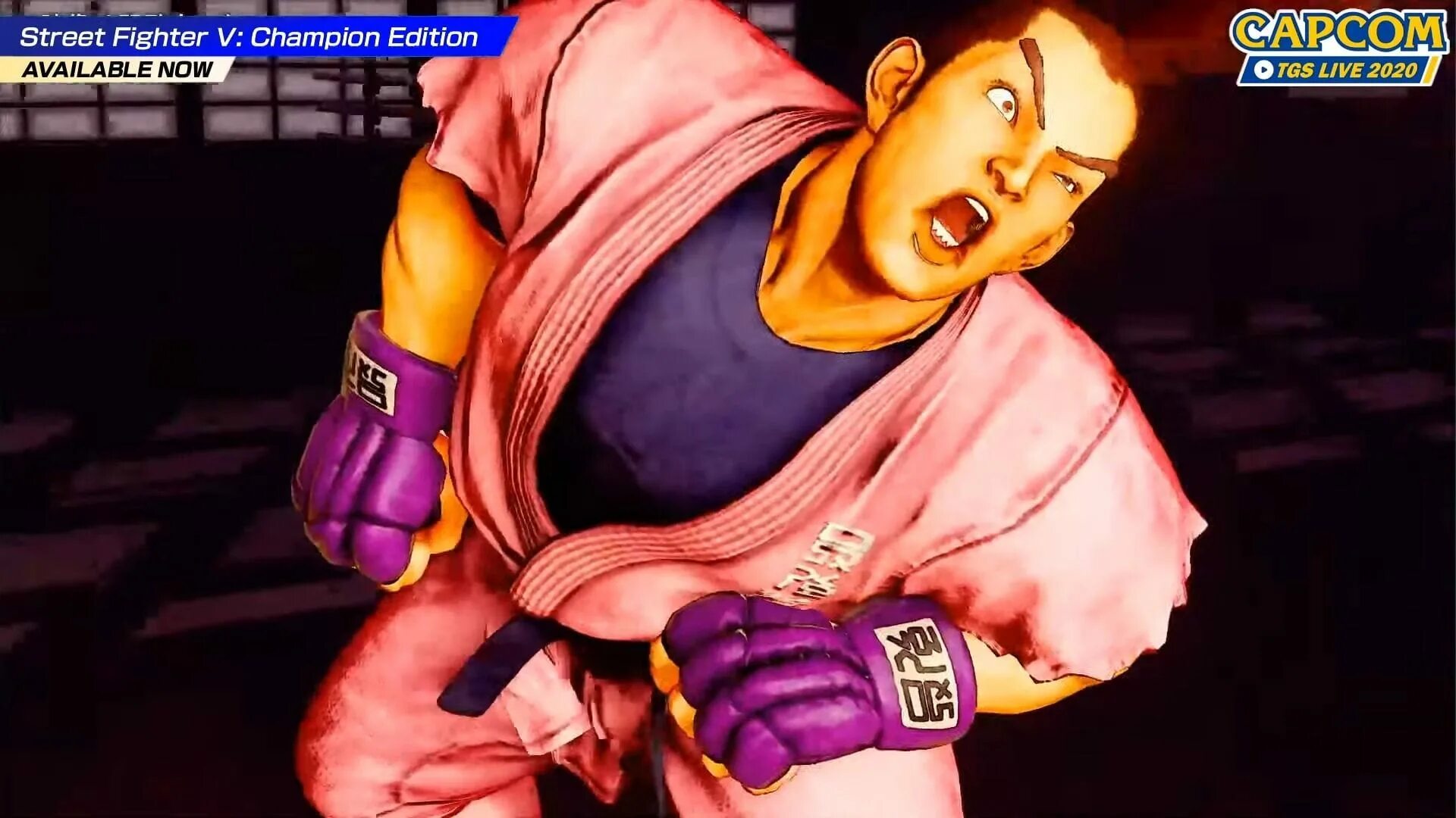 Street fighter gameplay. Street fighter 5 dan. capcom street fighter characters.
