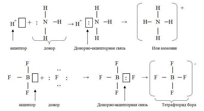 Бор и фтор. Механизм образования Иона аммония nh4 +. Механизм образования Иона аммония донорно-акцепторный связь. Донорно-акцепторный механизм образования Иона аммония. Донорно акцепторная связь в Ионе аммония.