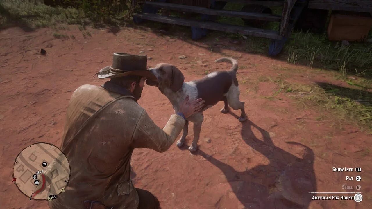 Рдр 2 собаки. Red Dead Redemption 2 Dog. Rdr 2 Вакеро. Собака в Строберри rdr 2.