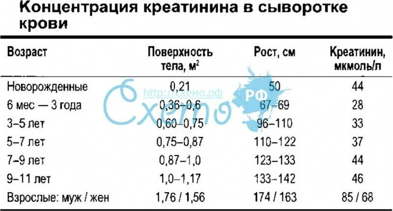 Креатинин показатель нормы