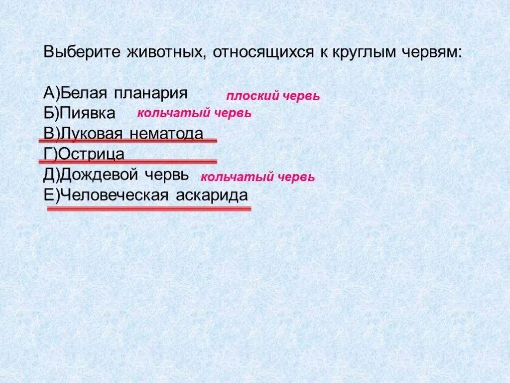 К круглым червям относят. К круглым червям не относится. Выберите животных относящихся к круглым червям белая планария. К круглым червям относятся контрольная работа.