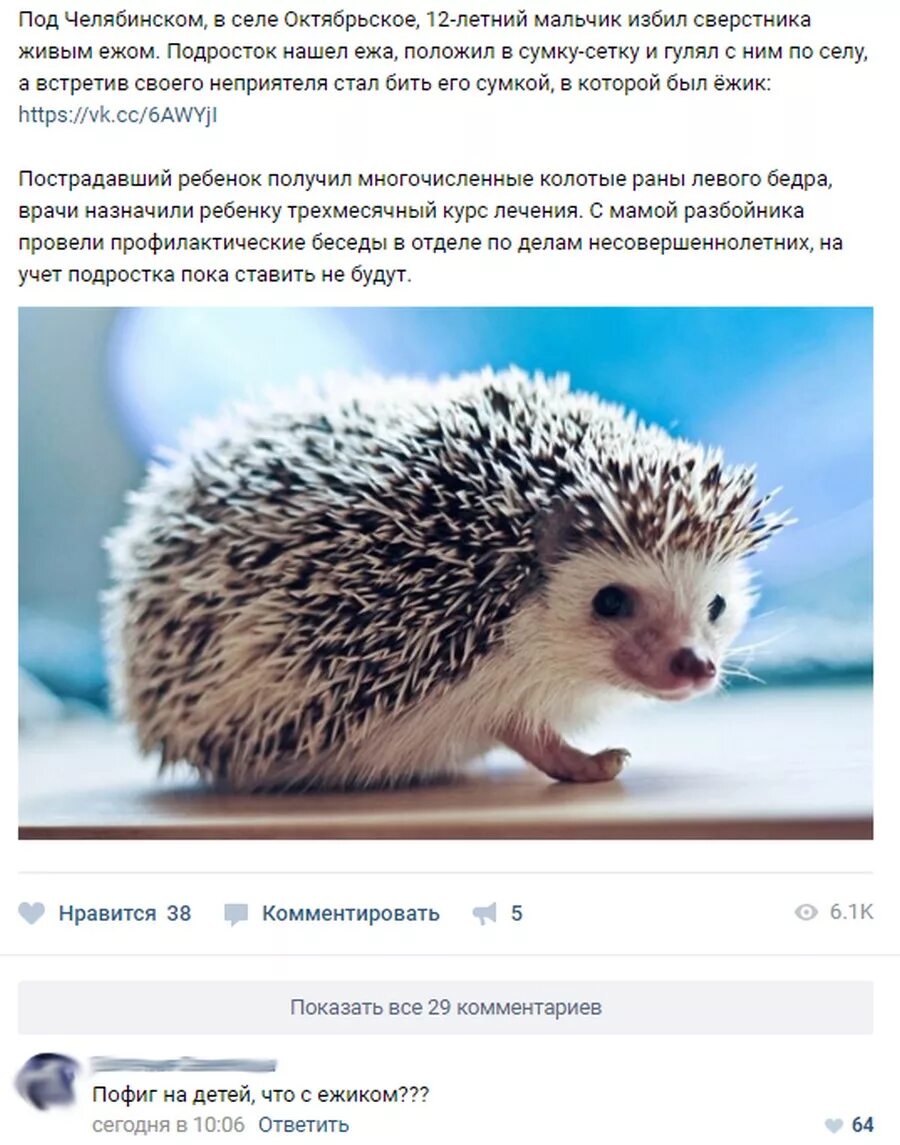 Ежик в тумане высказывания. Цитаты ежика в тумане и медвежонка. Картинки позитивные с цитатами. Ежик в тумане цитаты. Ежик в тумане фразы.