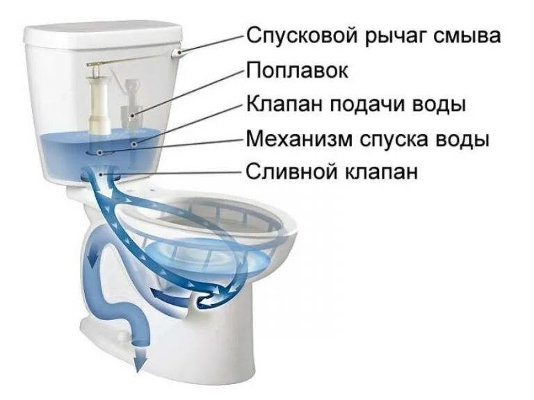 При смыве вода поднимается. Схема смыва воды в унитазе. Унитаз Смывательная система.