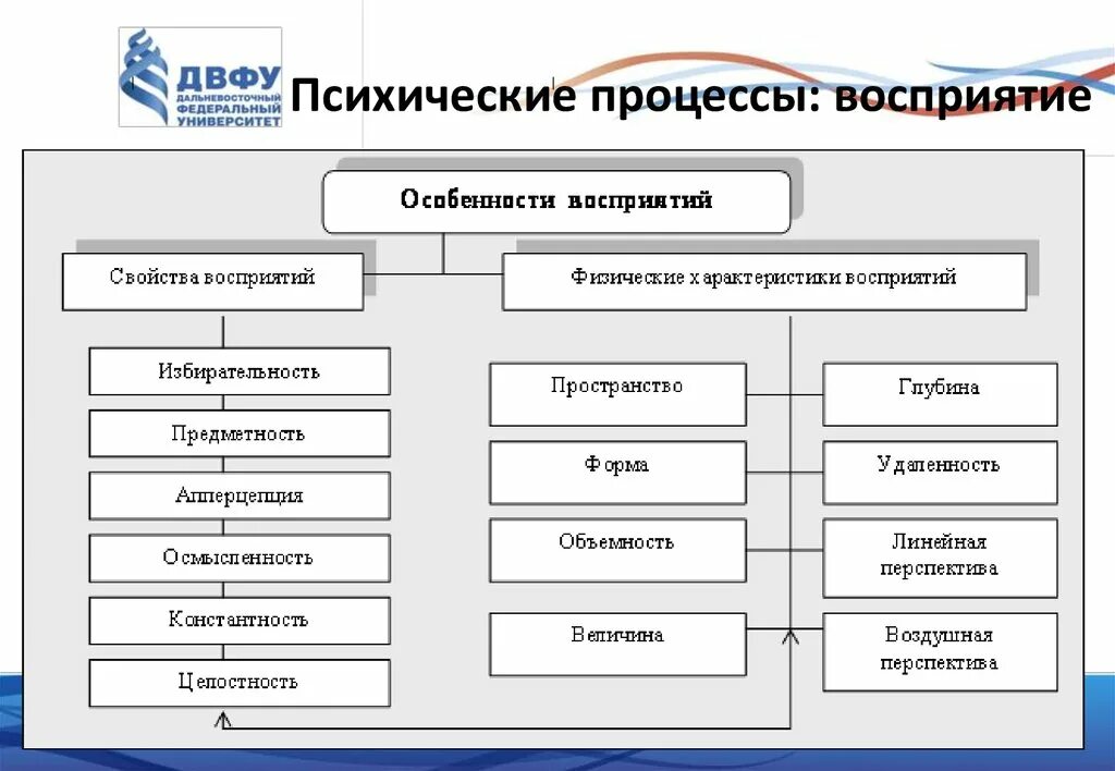 Восприятие психический процесс. Психологические процессы восприятия. Восприятие как психический процесс. Особенности психических процессов восприятие.