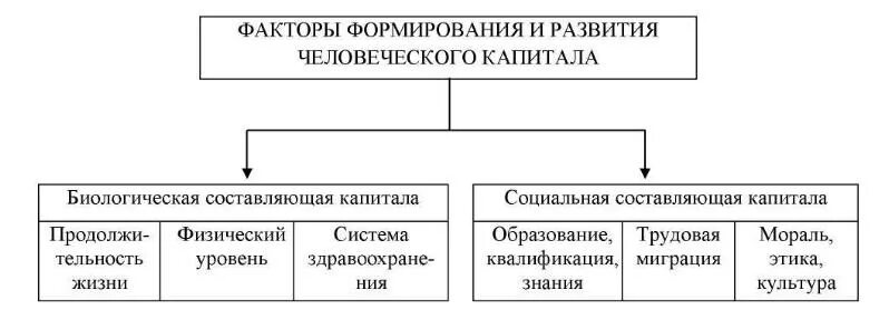 Оценка качества капитала. Факторы формирования и развития человеческого капитала. Факторы формирующие человеческий капитал. Перечислите факторы развития человеческого капитала. Схема формирования человеческого капитала.