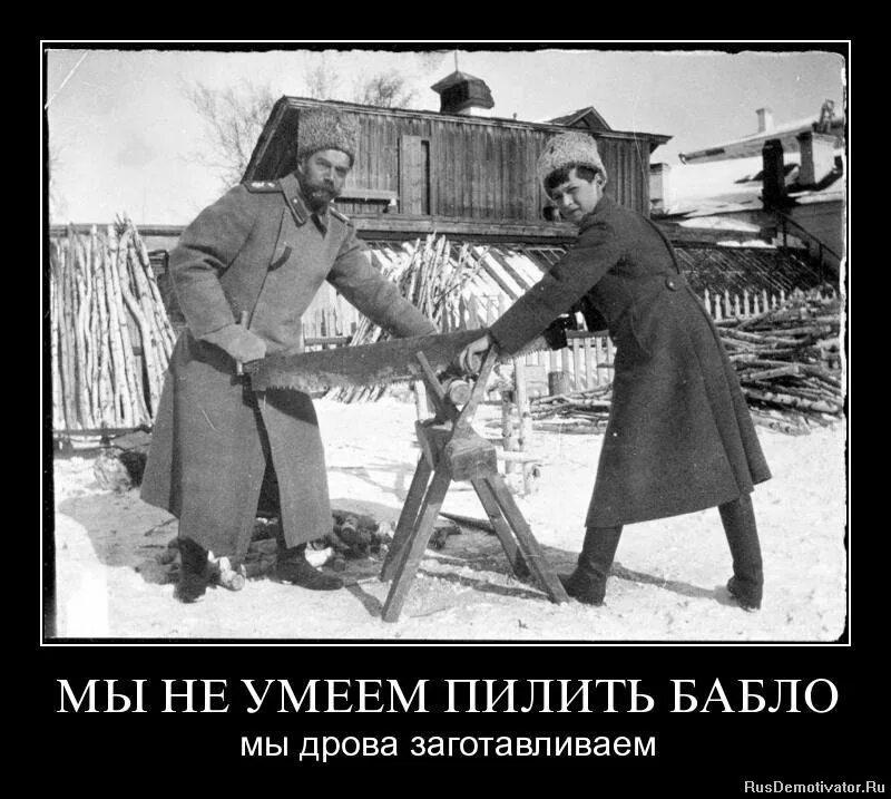 женщина с дровами. распил бюджета карикатура. пилить не дадим. коррупция карикатура. пилить дрова.