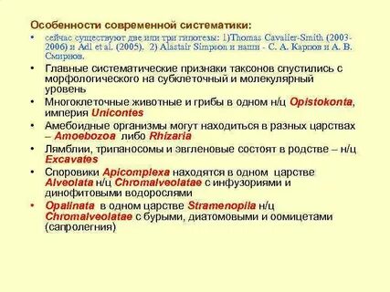 Спустившимся морфологический