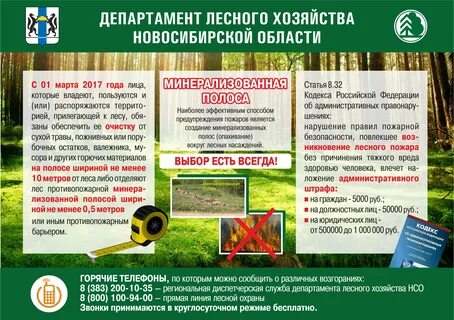 Лесничество право