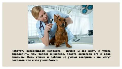Ветеринар баллы