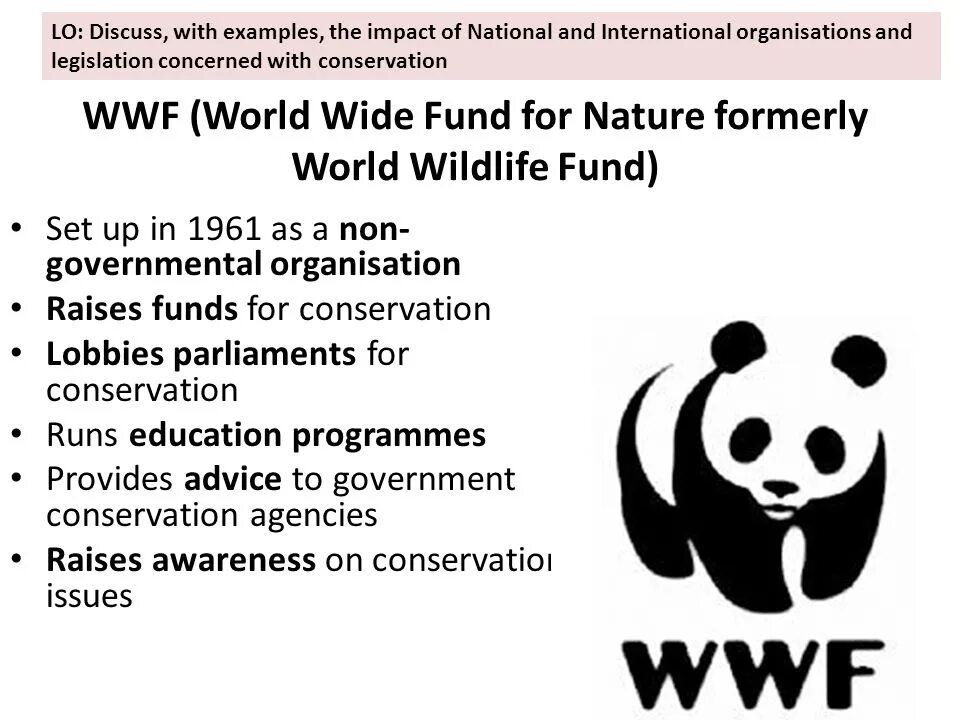 Всемирный фонд дикой природы. WWF презентация. WWF World Wildlife Fund.