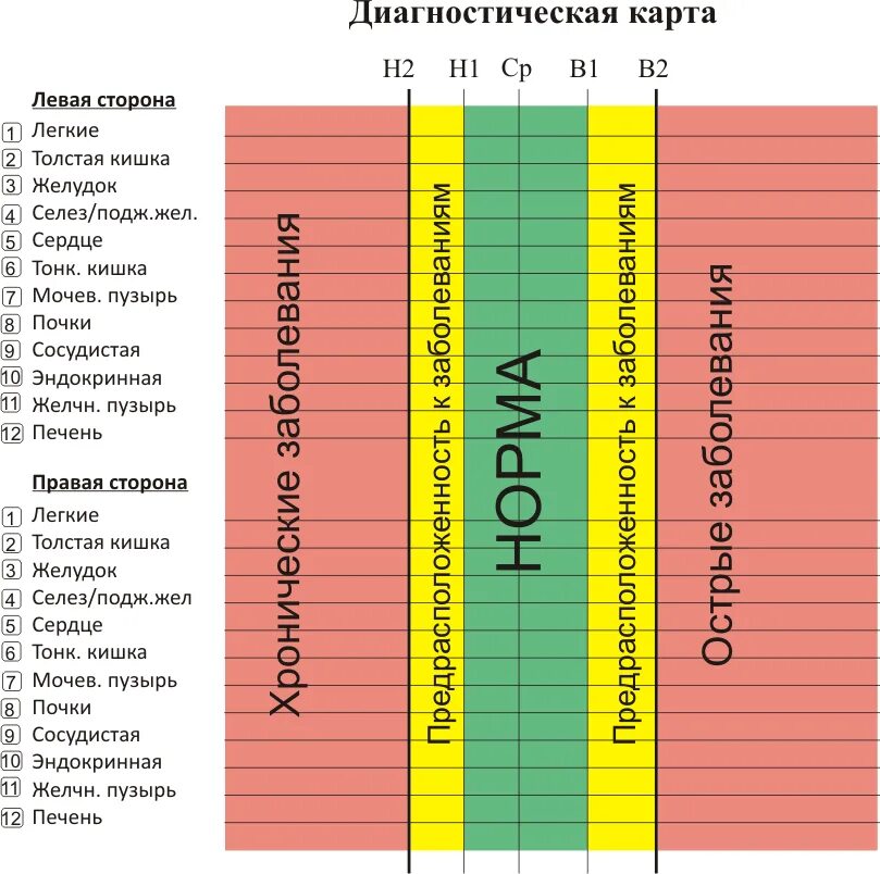 Врач диетолог составил диаграмму. Медискрин. Медискрин позвоночника. Медискрин диагностика. Результаты диагностики Медискрин.