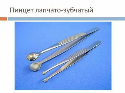 Зубчато лапчатый
