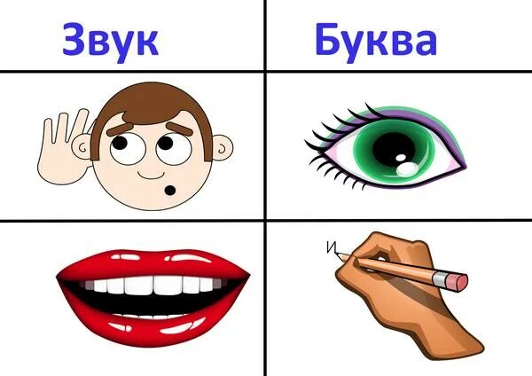 Звуки слышим и произносим. Звуки и буквы. Звуки мы слышим и произносим. Звуки слышим и произносим буквы видим и пишем. Звук слышим букву пишем картинка