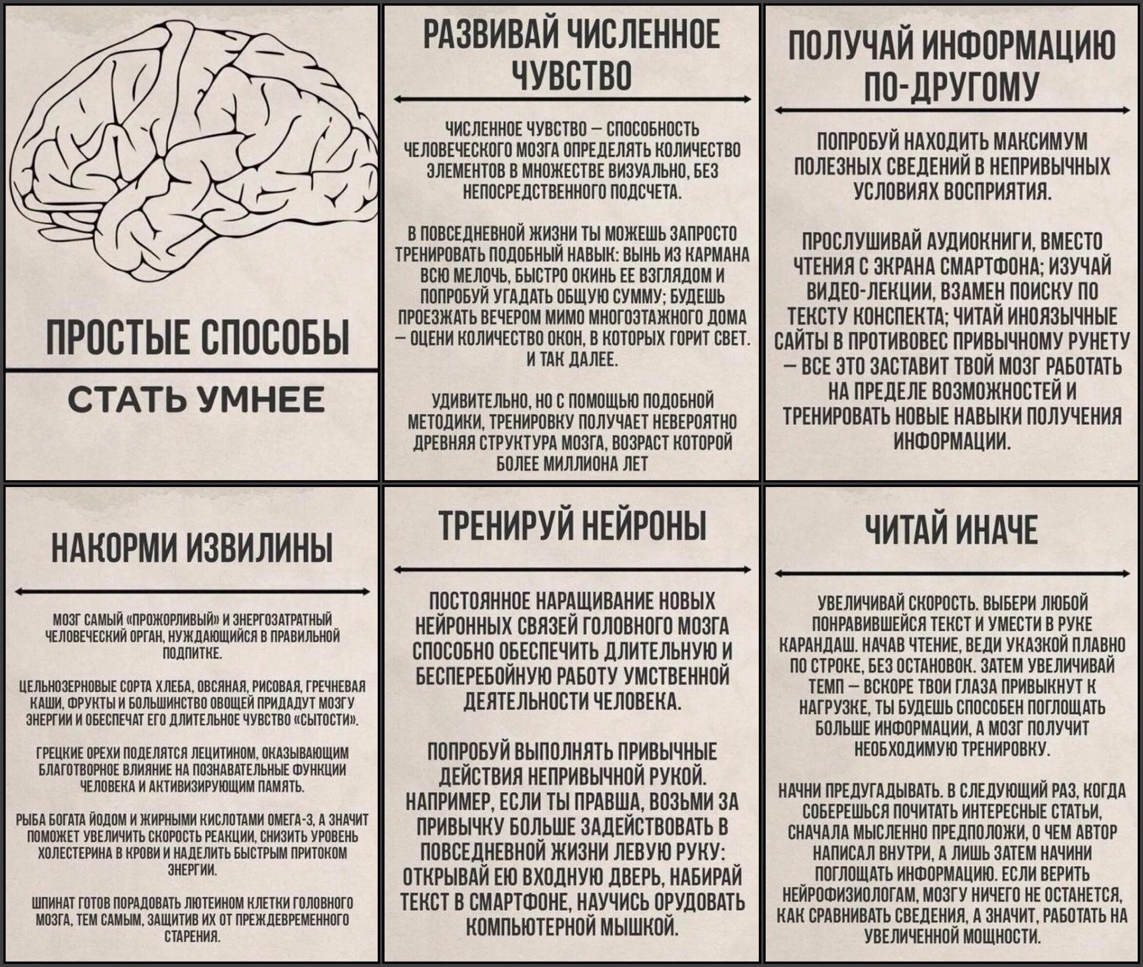 Как быть умным стать. Простые способы стать умнее. способы развития мозга. мозг статьи. развиваем мозг.