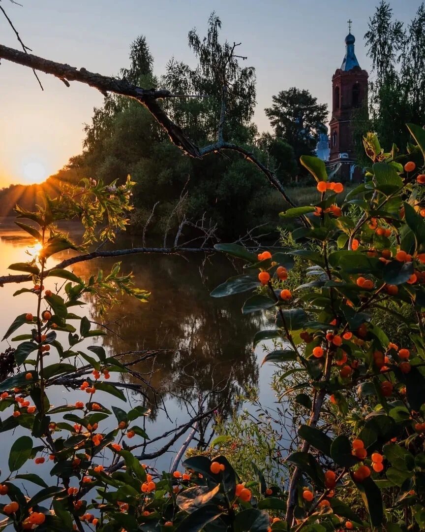 Букрино Рязань. Село Букрино Рязанская область. С Букрино Рязанского района Рязанской области. Букрино Рязанская область Церковь.