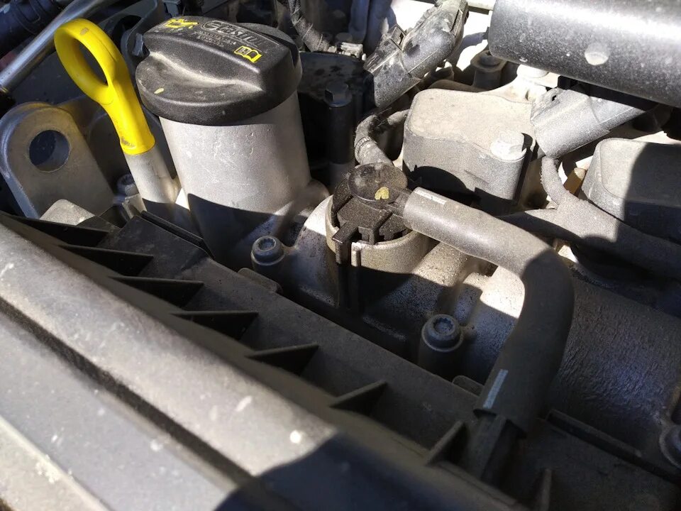 Картерные газы 1.4 tsi. Картерные газы 1.4 tsi