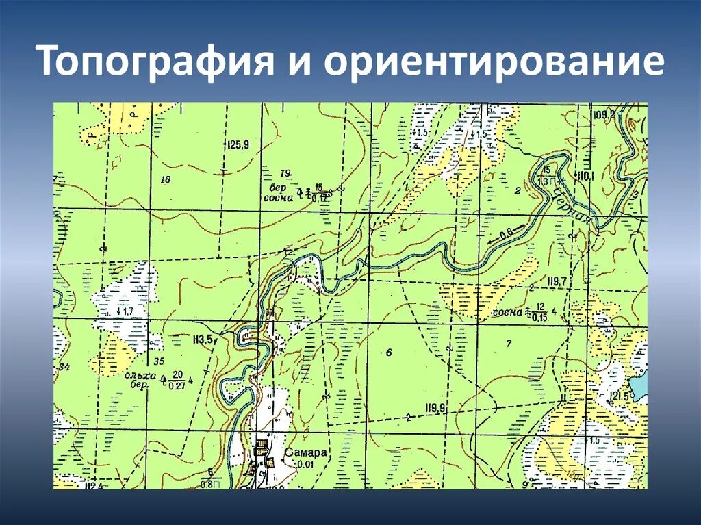 Карта топографа
