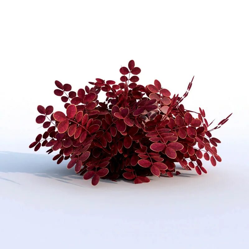 Куст 3д модель. Кустарники 3d модель. кусты для 3д печати. blender растения. c4d растения.
