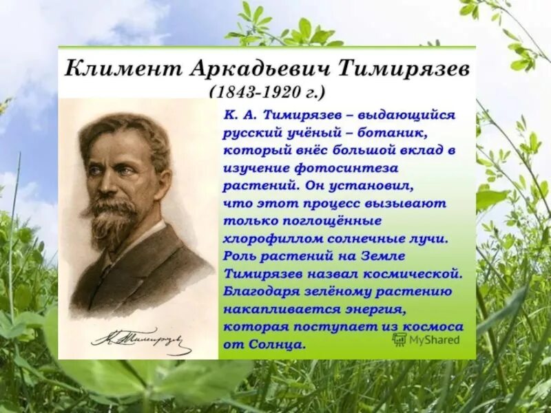 Впервые значение хлорофилла установил русский ученый. Открытия Тимирязева в биологии.