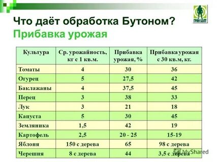 Программа на грине
