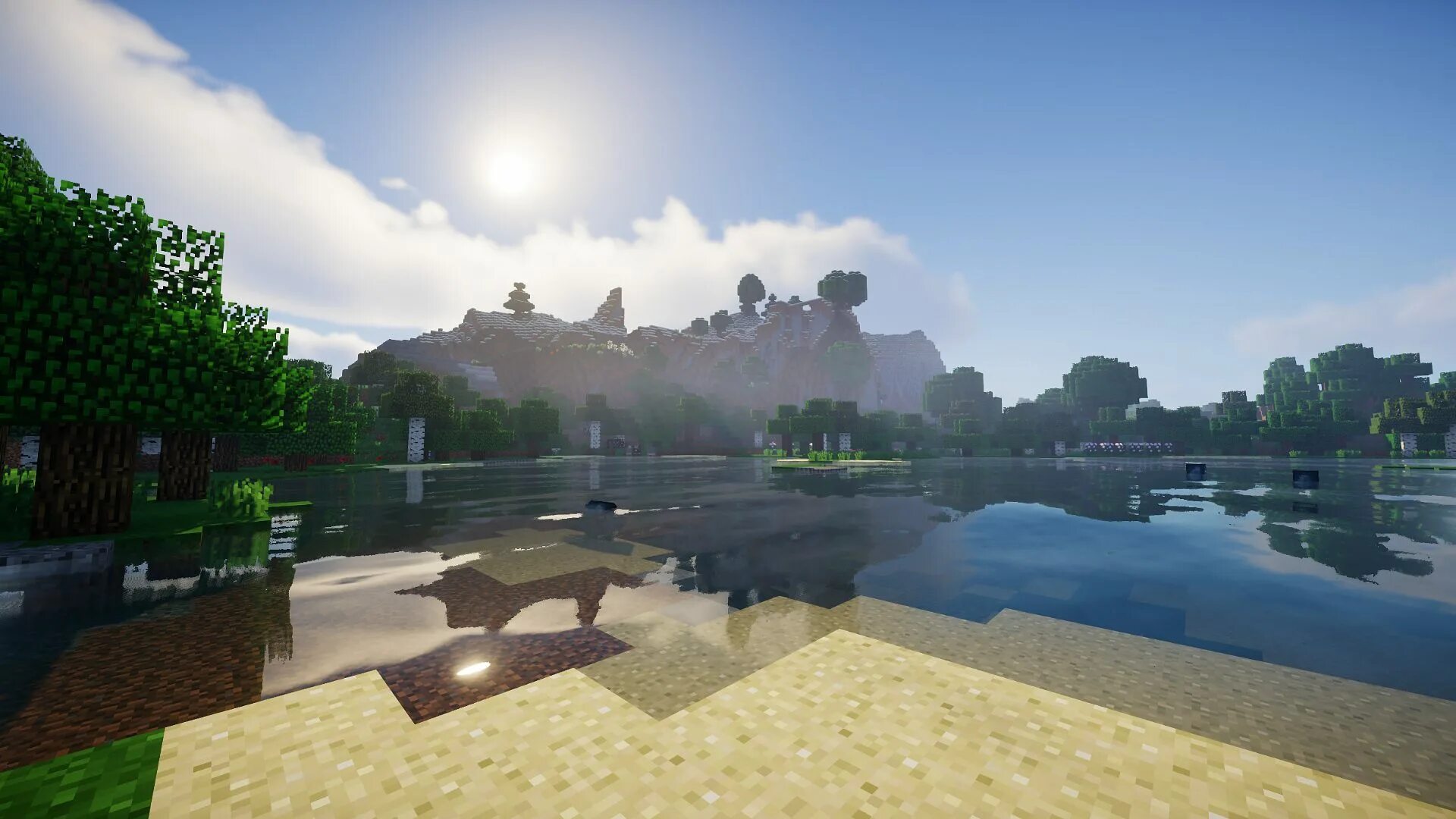 Shader level