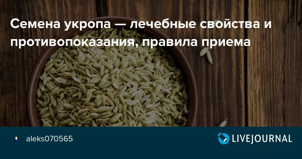 Можно пить укроп. Укроп семена. Укропное семя лечебные. Семена укропа полезные качества. Семя укропа лечебные.