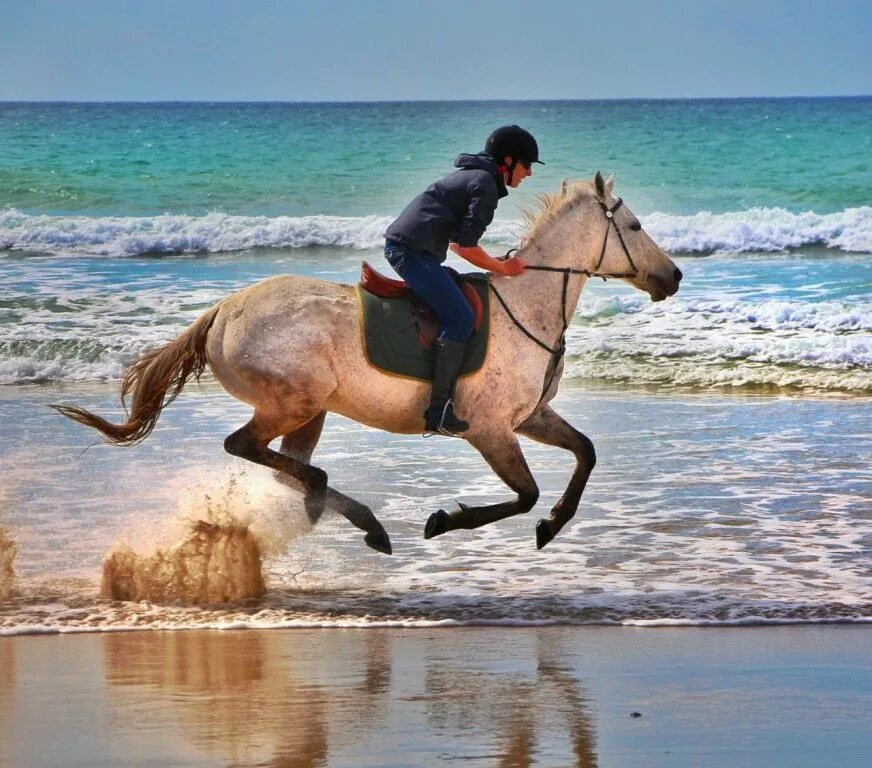 Horse riding. Галоп на пляже. Галоп без рук. Галопом море.