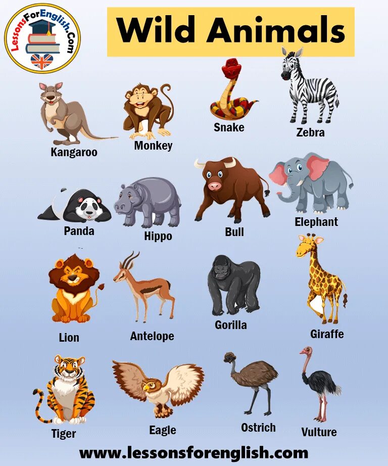 Wild animals essay