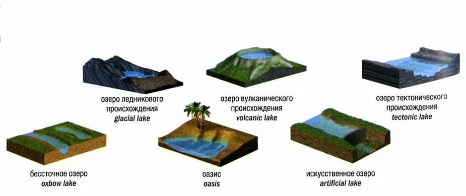 Типы озерных котловин рисунок. Тектоническое озеро схема. Типы Озёрных котловин схема. Котловины тектонического происхождения. Примеры котловин озер