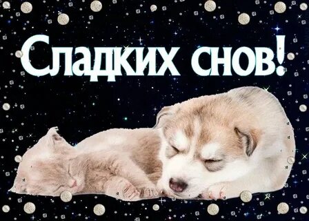 Сладких тогда