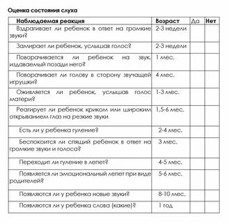 Практика логопеда в детском саду дневник
