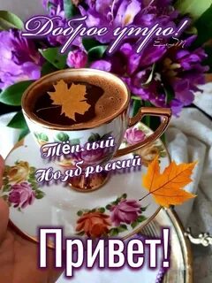 С добрым ноябрьским утром картинки