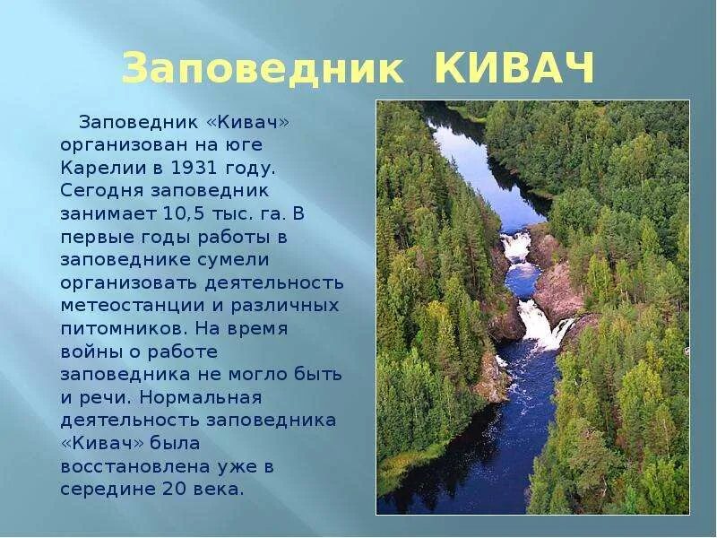 Основная мысль текста заповедник кивач. Заповедник Кивач в Карелии. Заповедник Кивач презентация. Кивач информация. Охрана заповедника Кивач.