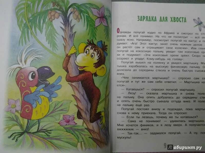 Сказка про попугая и мартышку. Зарядка для хвоста. 38 попугаев сказка. зарядка для хвоста книга. план сказки 38 попугаев.
