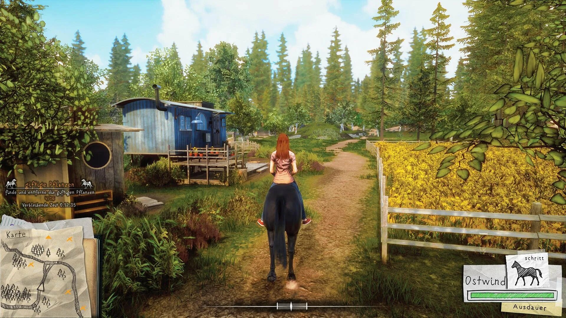 Windstorm / ostwind - ari's arrival. Оствинд игра. Ostwind/windstorm игра. Windstorm: an unexpected arrival. Ostwind/windstorm.