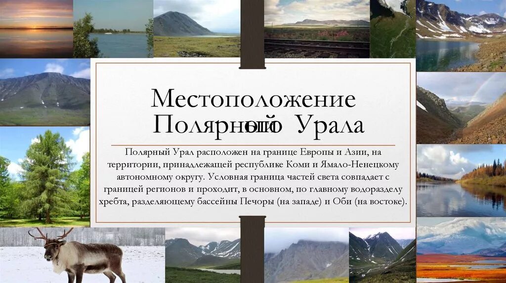 Части Урала Полярный Урал. Расположение на Урале полярного Урала. Территория полярного Урала. Местоположение полярного Урала.