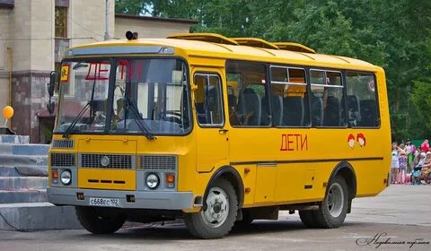 Сланцы школьный автобус