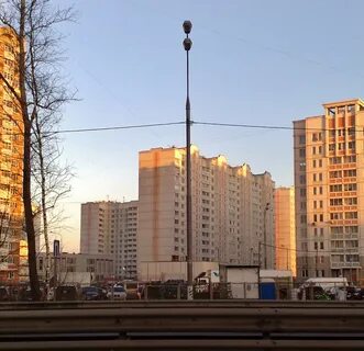 Дмитровское 165