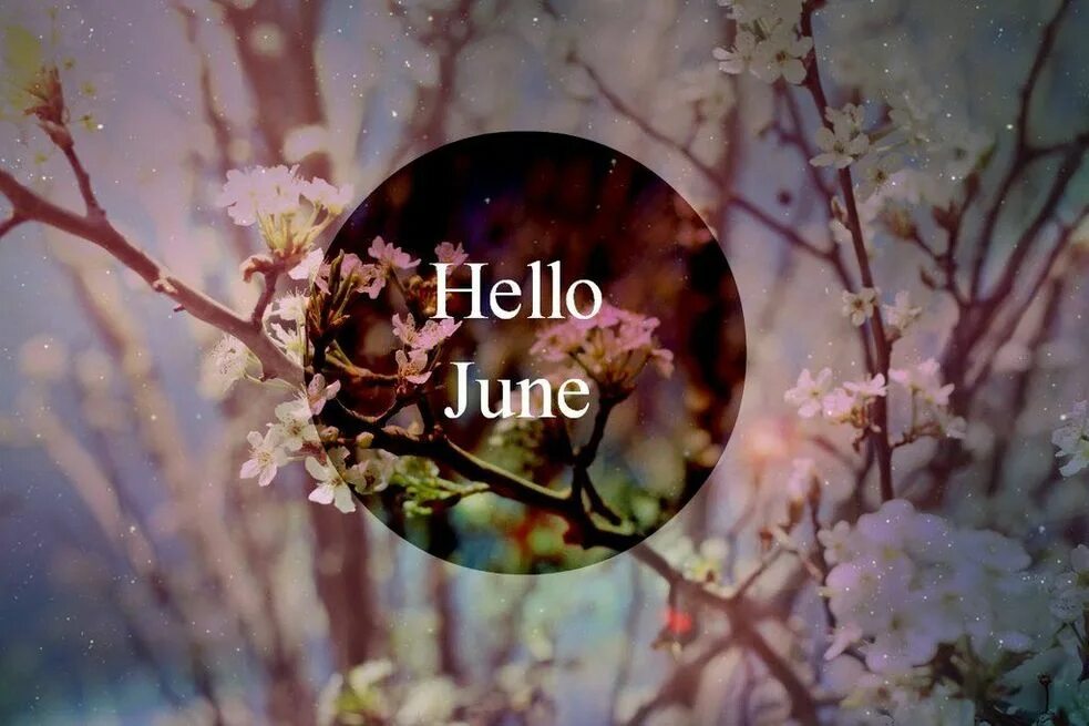Картины hello. Привет июнь. Хеллоу июнь. Hello June картинка. June красиво.